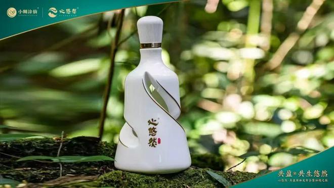 年度盘点④从20款年度新品看2024年“产品”背后的秘密(图13)