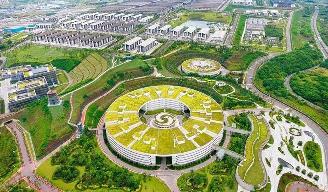 中国白酒“生产企业”十强(图3)