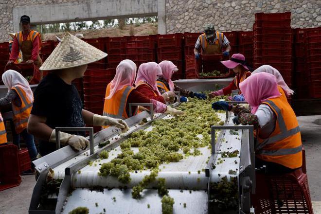 份额只剩白酒市场12%葡萄酒高贵优雅的滤镜开始对中国人失效(图2)