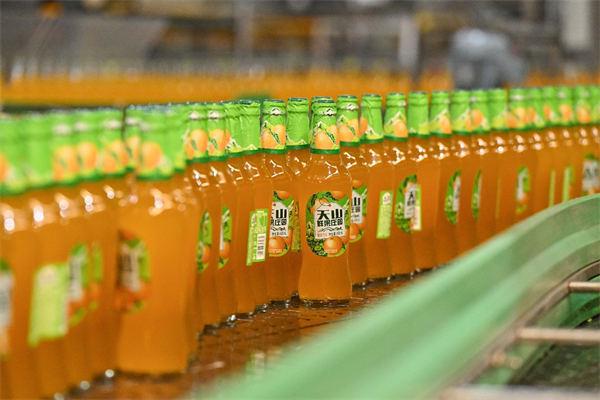 重庆啤酒发布一季报：实现2025年稳健开局(图2)