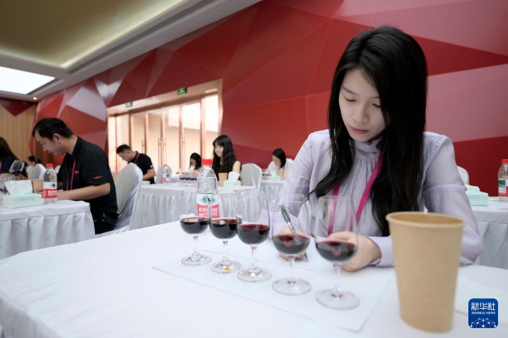 全国首届葡萄酒产业“创殊杯”职工职业技能大赛决赛在银川举行(图5)