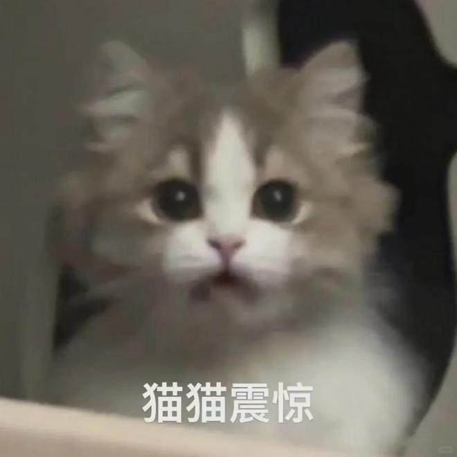985高校出手毕业生：什么时候把我也禁了(图21)