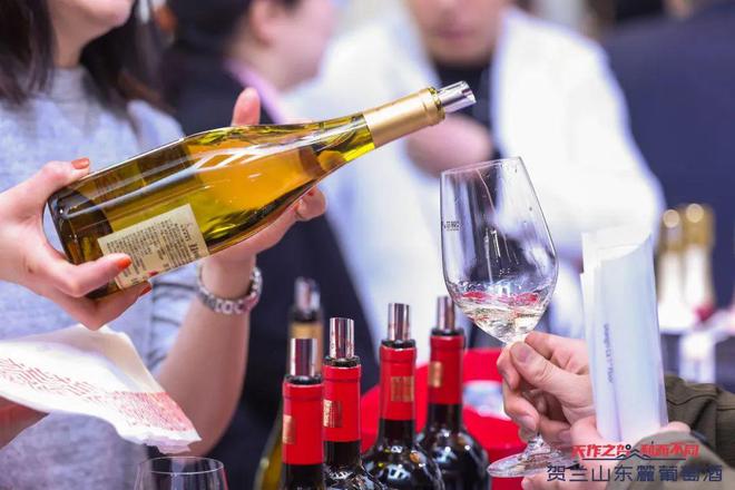 中国葡萄酒下一个爆款是？风声从这里传出(图9)