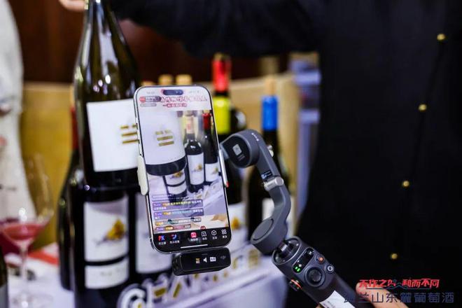 中国葡萄酒下一个爆款是？风声从这里传出(图8)