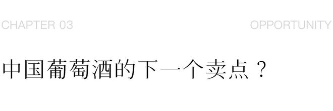 中国葡萄酒下一个爆款是？风声从这里传出(图13)