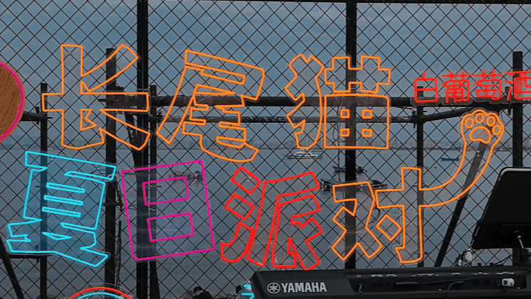 拿下抖音8个榜单第1这只“猫”火了！(图7)
