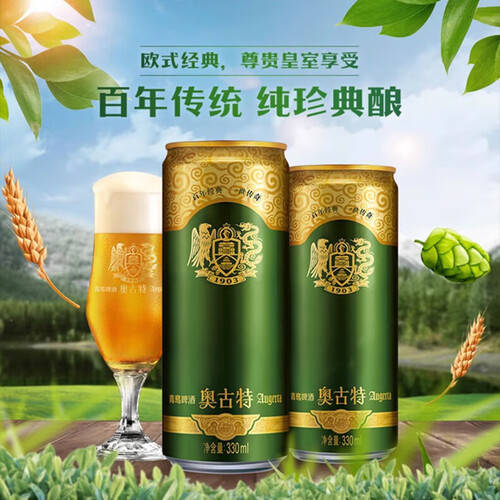 聚会必备！畅饮经典啤酒推荐带你体验舌尖上的盛宴(图1)