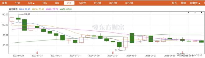 6亿收购案意外停滞引关注青岛啤酒新掌门姜宗祥的挑战与答卷(图16)