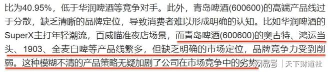 6亿收购案意外停滞引关注青岛啤酒新掌门姜宗祥的挑战与答卷(图12)
