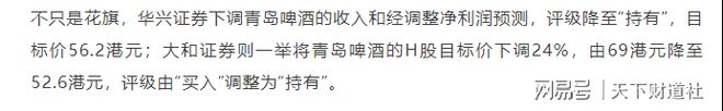 6亿收购案意外停滞引关注青岛啤酒新掌门姜宗祥的挑战与答卷(图19)