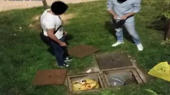 【大事件】警方查获161瓶假啤酒教授5年不上课却领N份工资24小时3架飞机坠落!(图1)