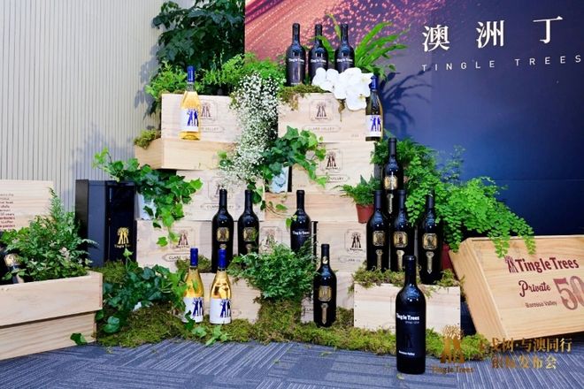 品牌价值628亿从华樽杯三冠王丁戈树看葡萄酒的破局之道(图2)