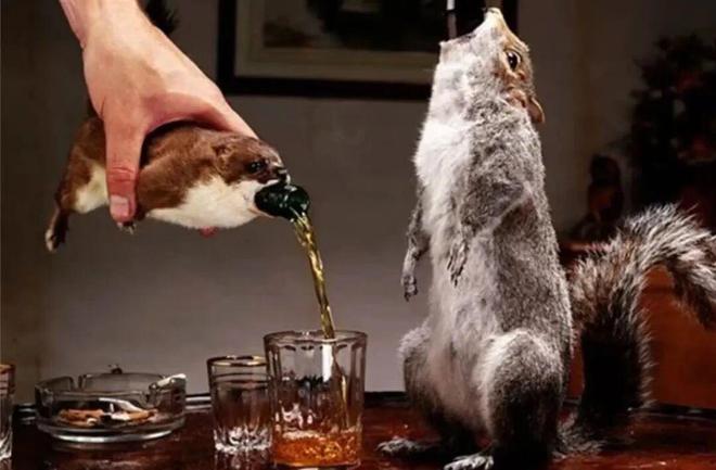 单瓶63万！这瓶“天价啤酒”竟用动物标本当包装？(图1)