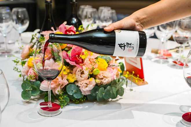 宁夏贺兰山东麓葡萄酒酒庄：佳酿之源品味之选(图3)