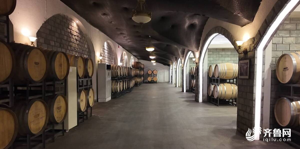 云话山东丨青岛华东葡萄酿酒：积极拓展海外市场推动中国葡萄酒走向世界(图2)