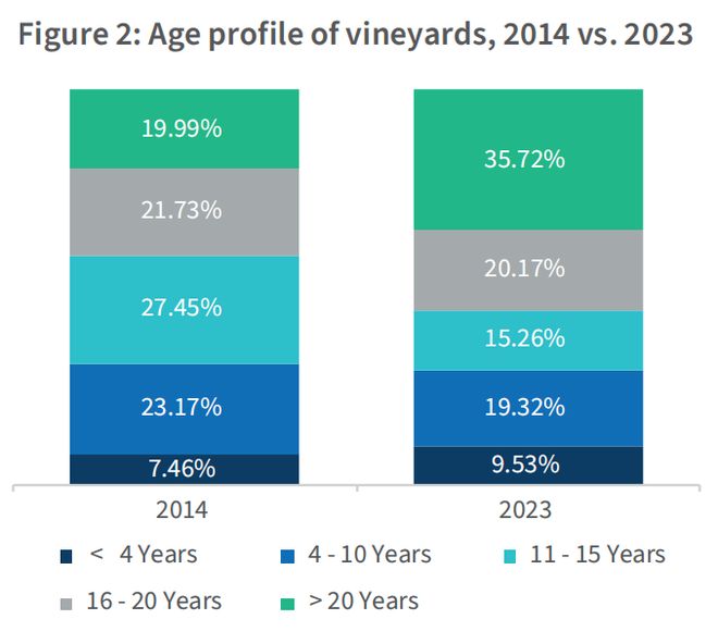 5年下降738%南非葡萄酒在中国市场失速(图2)