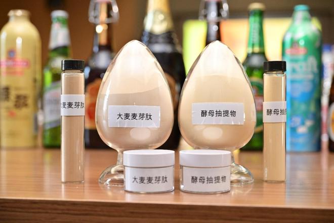 科研成果“上新”品质生活“焕新”青岛啤酒两项科技成果获得权威认证(图4)