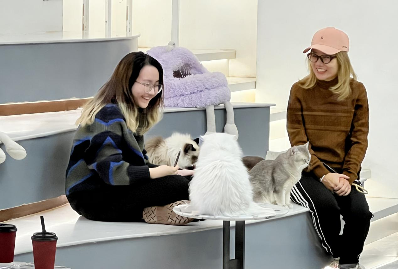 “爱你老己”背后的消费密码(图1)