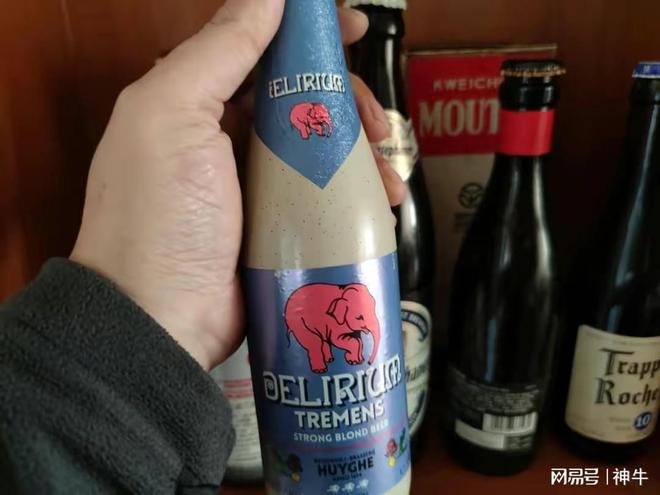 过年买啤酒9种用料扎实顺口好喝的啤酒买几箱春节慢慢喝(图11)