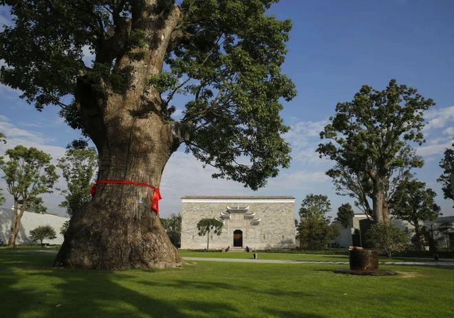 聚焦养云安缦·别墅售楼处发布：养云安缦品质铸就传奇！(图4)