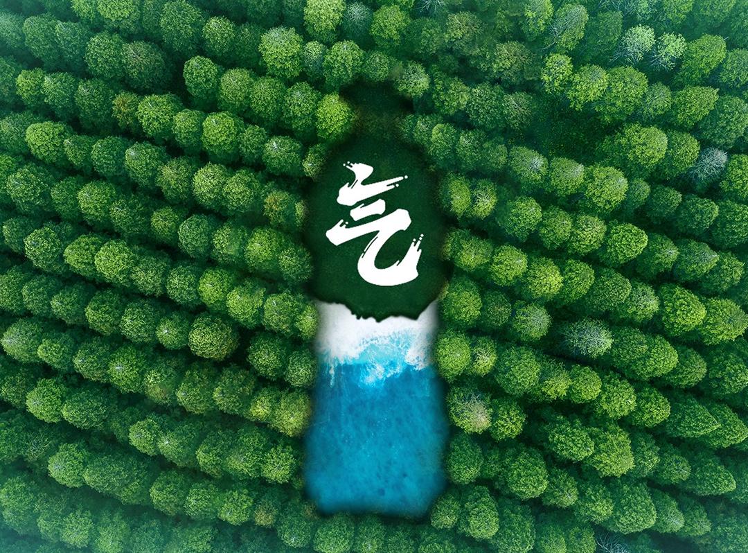 “Z时代”的白酒故事讲什么？(图9)