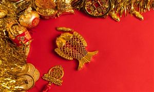 中研网行业资讯_中研普华行业研究网(图15)